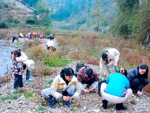 IMG_20211119_094240.jpg IMG_20211119_094240.jpg