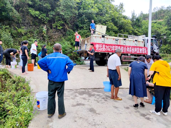 镇远县稻鱼综合种养鱼种发放现场.jpg 镇远县稻鱼综合种养鱼种发放现场.jpg