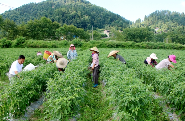 IMG_1183_副本.jpg IMG_1183_副本.jpg