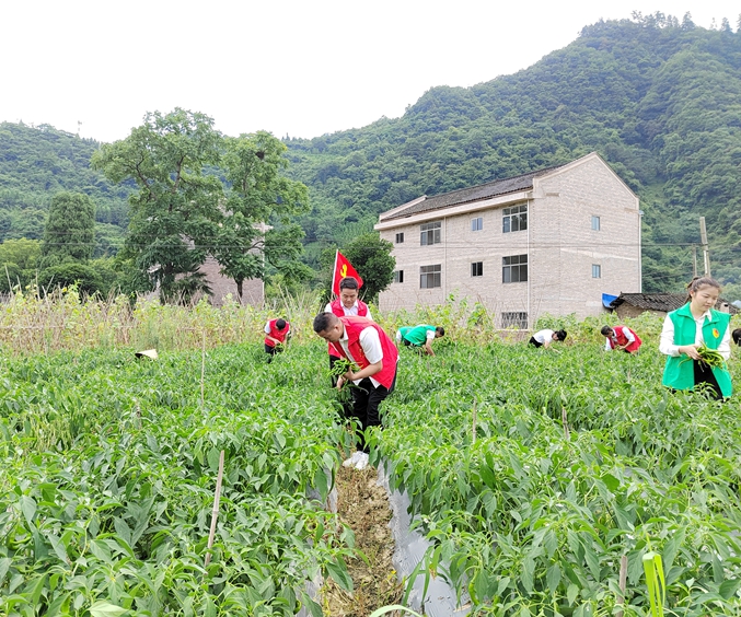 微信图片_20220630121822.jpg
