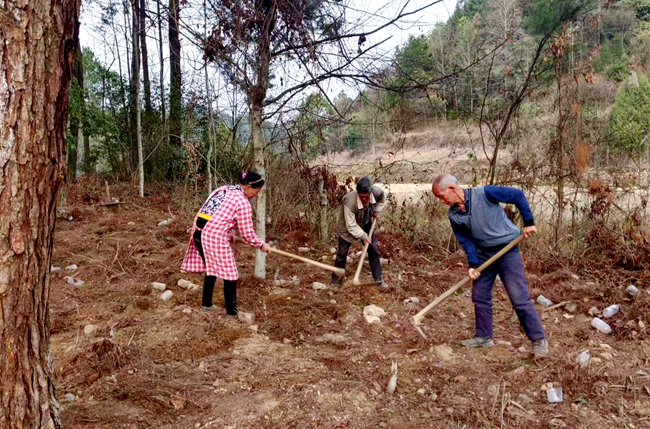 微信图片_20230310170424_副本.jpg 微信图片_20230310170424_副本.jpg