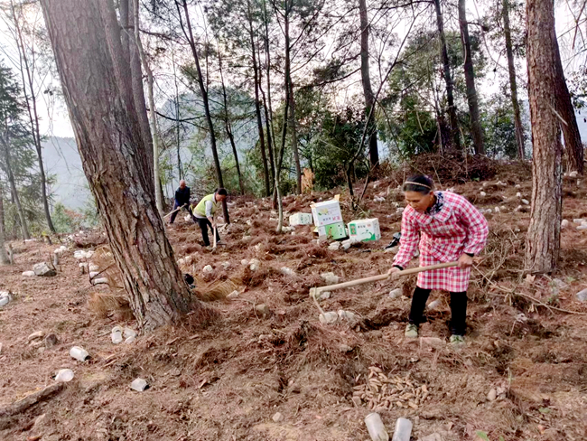 微信图片_20230310170445_副本.jpg 微信图片_20230310170445_副本.jpg