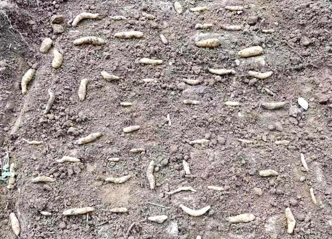 微信图片_20230310170612_副本.jpg 微信图片_20230310170612_副本.jpg