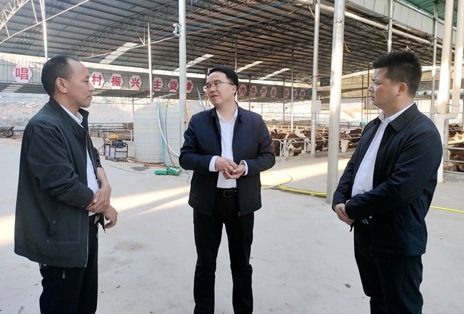 陈林到羊坪镇开展巡河并督导一季度重点工作 - 镇远网-镇远新闻网