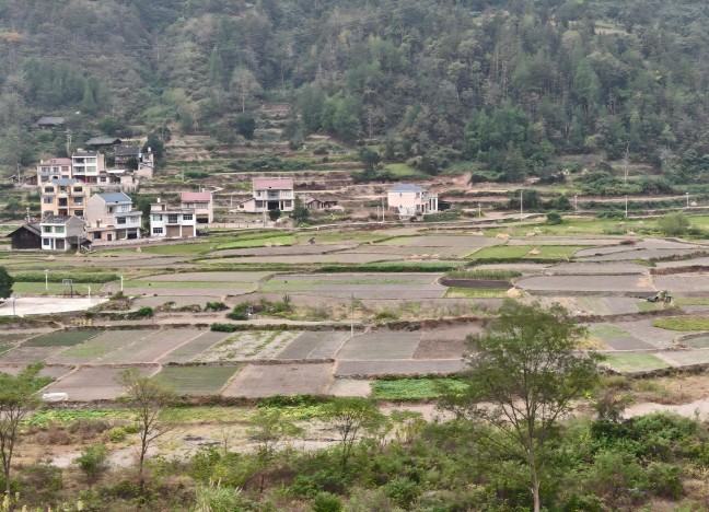 图片 (9).jpg 图片 (9).jpg