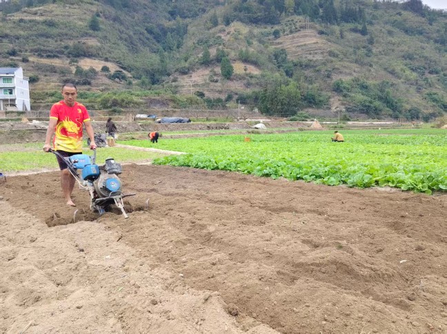 图片 (6).jpg 图片 (6).jpg