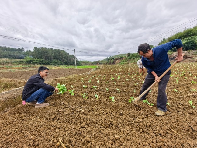 fb91b9ef770cfbac4897218178572085.jpg fb91b9ef770cfbac4897218178572085.jpg