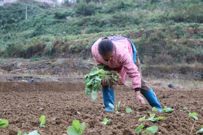 IMG_2341.jpg IMG_2341.jpg