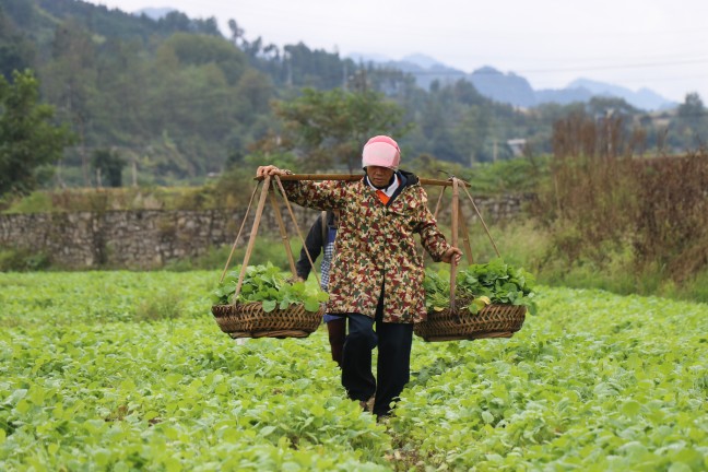 IMG_2390.jpg IMG_2390.jpg