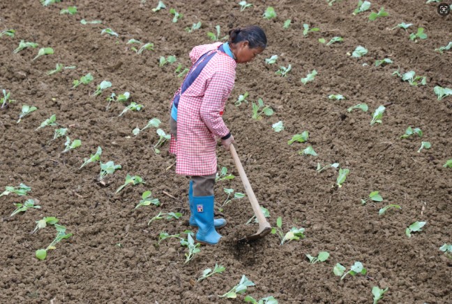 fded4737fc6434b68b506213e2b07a15.jpg fded4737fc6434b68b506213e2b07a15.jpg