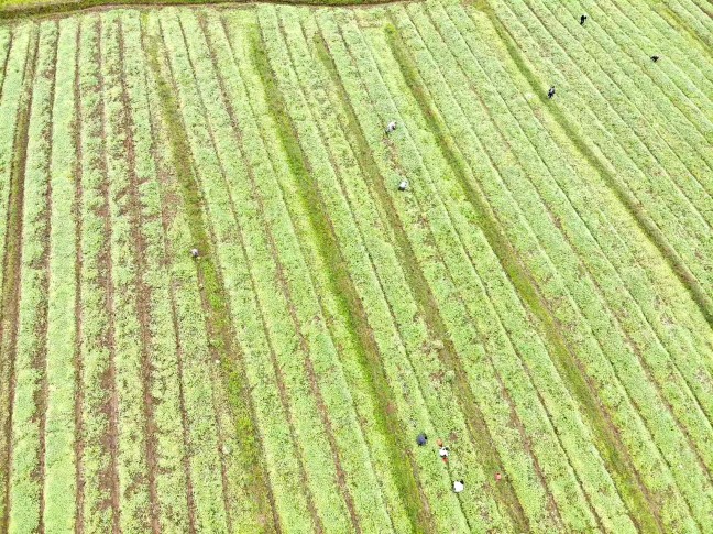 1bee4455f913eb96a09ac4102903a189_副本.jpg 1bee4455f913eb96a09ac4102903a189_副本.jpg