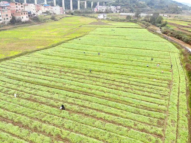 1a6061b648a8254ebc08dbd452467f61_副本.jpg 1a6061b648a8254ebc08dbd452467f61_副本.jpg