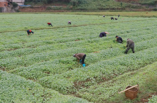 8f8c8416c15ada174129d230b9efdc85.jpg 8f8c8416c15ada174129d230b9efdc85.jpg