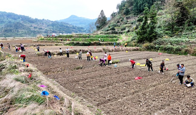 DJI_20251105155449_0709_D_副本.jpg DJI_20251105155449_0709_D_副本.jpg