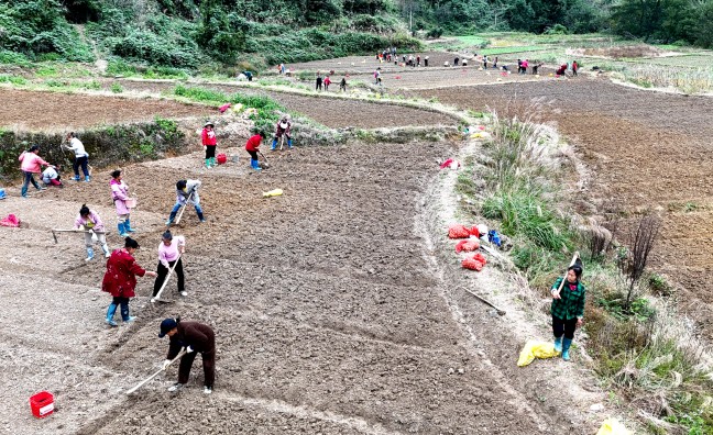 DJI_20251105160059_0719_D_副本.jpg DJI_20251105160059_0719_D_副本.jpg