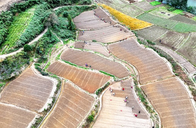 DJI_20251105155250_0706_D_副本.jpg DJI_20251105155250_0706_D_副本.jpg