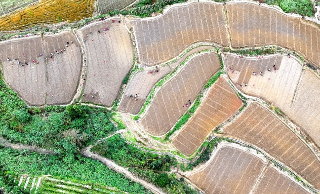 DJI_20251105155753_0715_D_副本.jpg DJI_20251105155753_0715_D_副本.jpg