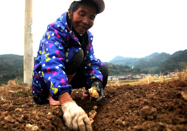 IMG_0253_副本.jpg IMG_0253_副本.jpg