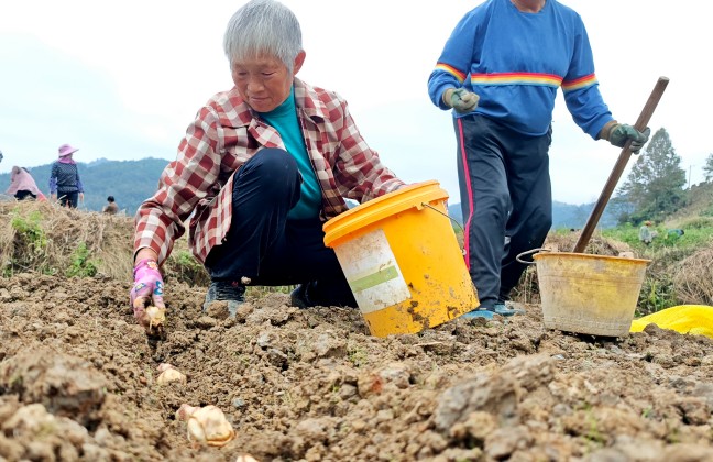 IMG_20251105_152614_副本.jpg IMG_20251105_152614_副本.jpg