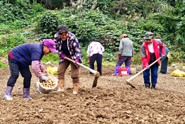 IMG_20251105_152149_副本.jpg IMG_20251105_152149_副本.jpg