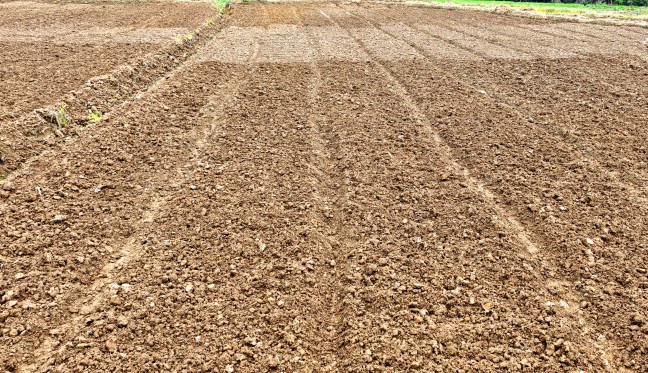 IMG_20251105_153817_副本.jpg IMG_20251105_153817_副本.jpg