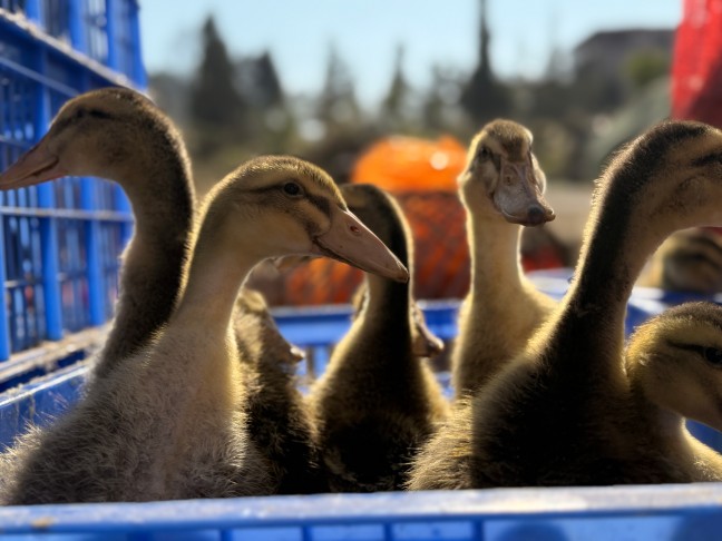 微信图片_20251201154805_547_28.jpg 微信图片_20251201154805_547_28.jpg