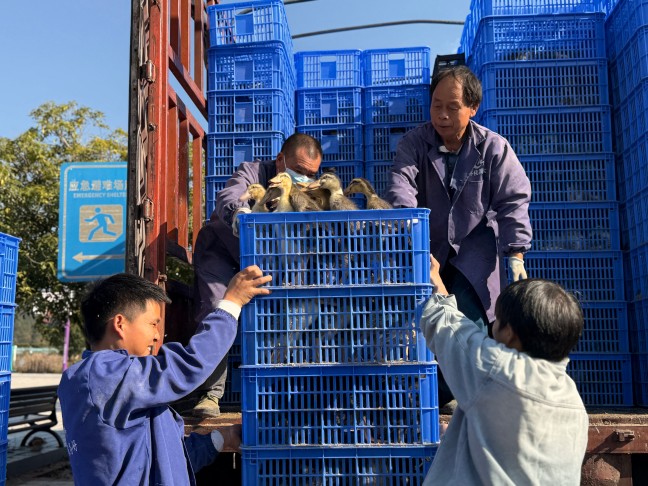 微信图片_20251201154321_531_28.jpg 微信图片_20251201154321_531_28.jpg