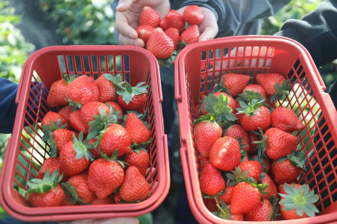 AO2A3024.jpg AO2A3024.jpg