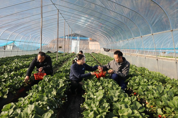 AO2A2991.jpg AO2A2991.jpg