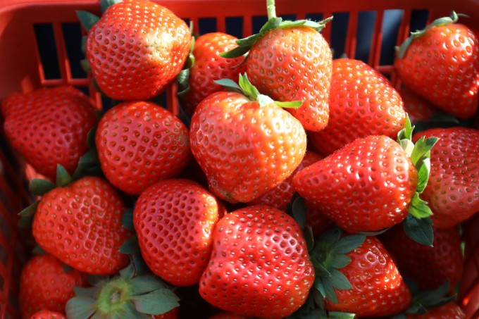 AO2A3031.jpg AO2A3031.jpg