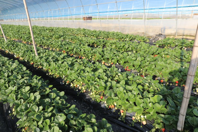 AO2A3046.jpg AO2A3046.jpg