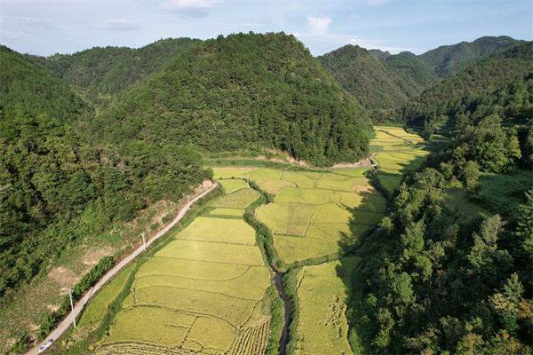 DJI_0119.jpg DJI_0119.jpg