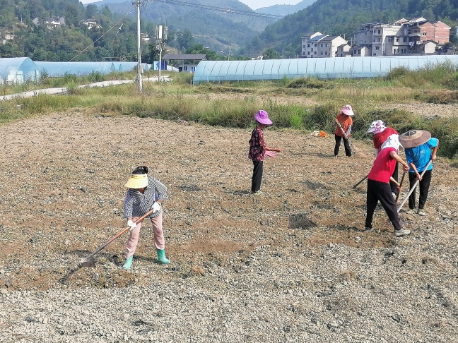 微信图片_20250918101658_35_110(1).jpg