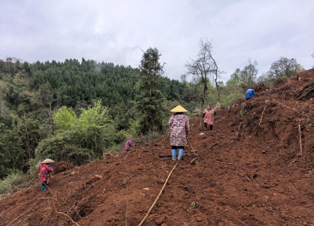 c91cbaec414a056a0b87e36f1b05b7df.jpg c91cbaec414a056a0b87e36f1b05b7df.jpg