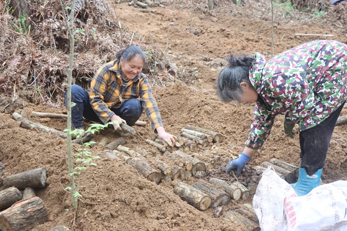 22710b3a1f45ba70dd2d3748b2c4d20b.jpg 22710b3a1f45ba70dd2d3748b2c4d20b.jpg