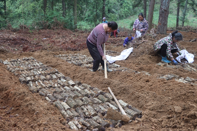 cf12ed9eb6c2b02ff3fab246eb19505a.jpg cf12ed9eb6c2b02ff3fab246eb19505a.jpg