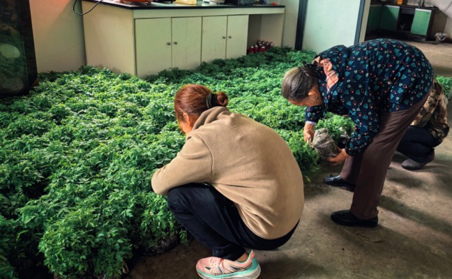 57e4e092bf45c526d86a79776e6a01af.jpg