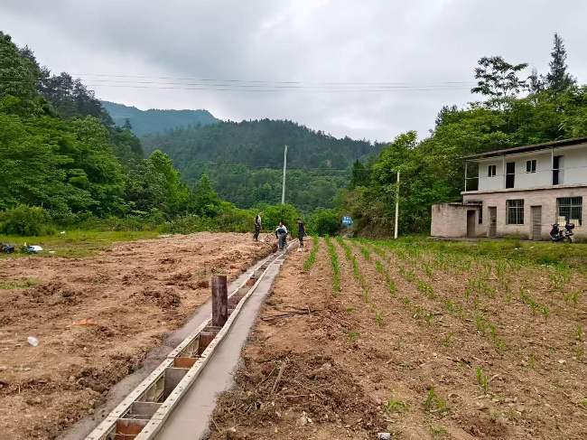 2aebde6cec79e7ab70990580f1af6d66.jpg