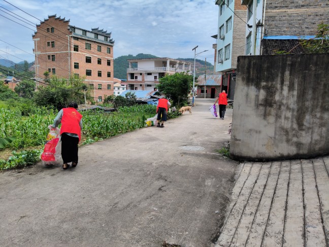 河东村对背街小巷进行清洁.jpg